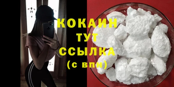 прущие грибы Медвежьегорск