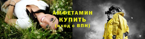 дмт Мегион