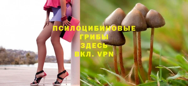 дмт Мегион