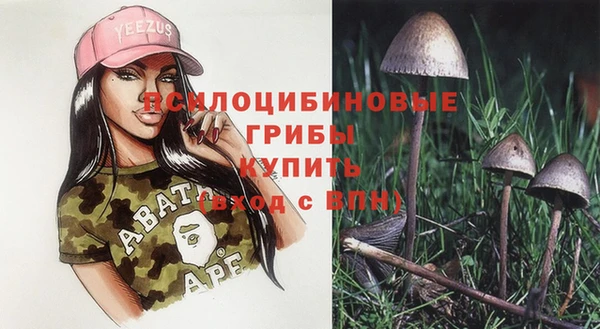 прущие грибы Мегион