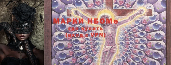 прущие грибы Мегион