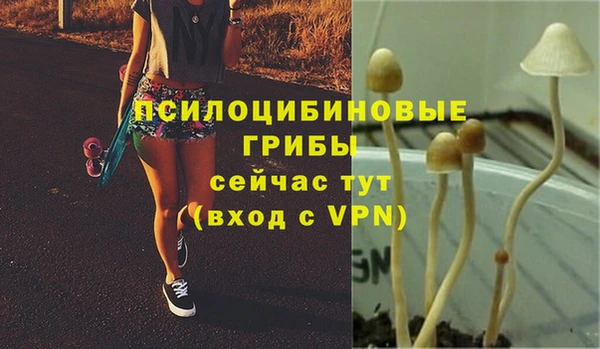 прущие грибы Мегион