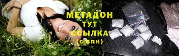 прущие грибы Мегион