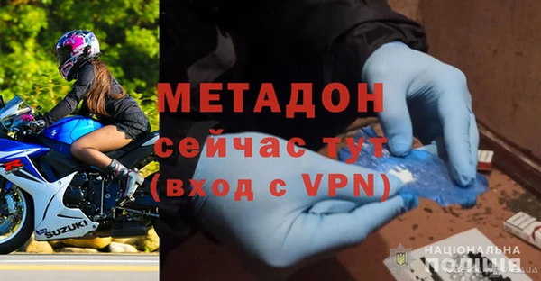 прущие грибы Медвежьегорск