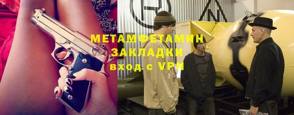 прущие грибы Медвежьегорск