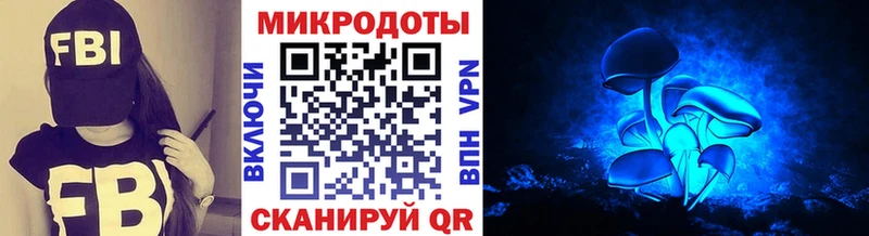 Псилоцибиновые грибы Psilocybe  Тольятти 