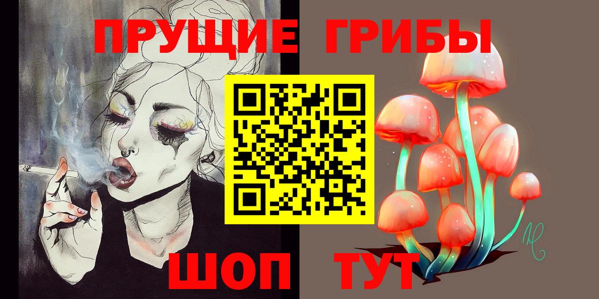 Галлюциногенные грибы Psilocybe Тольятти