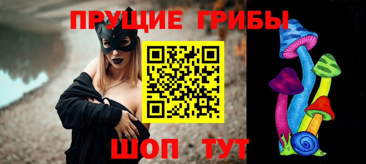 даркнет сайт  Вход с VPN  Галлюциногенные грибы прущие грибы  Тольятти  Псилоцибиновые грибы мицелий 